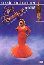 Pink Flamingos