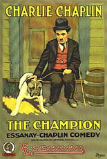 Campeão de Boxe