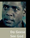 Do Geese See God