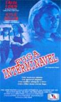 Fuga Interminavel